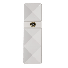 Load image into Gallery viewer, ♔ Posh Nano Mister ♔